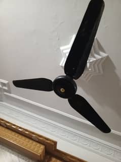 fans for sale