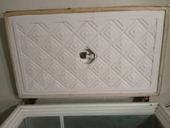 wave D freezer