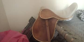 horse saddle