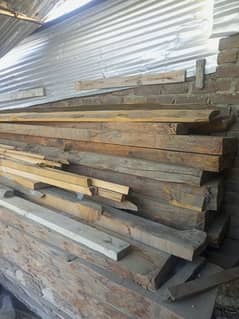 diyar wood