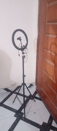 Ring light and stand