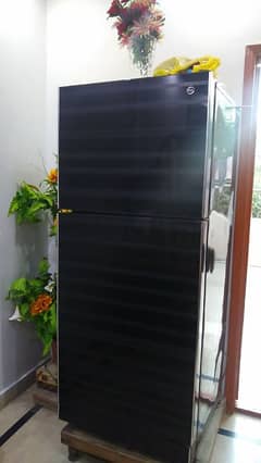 pell fridge