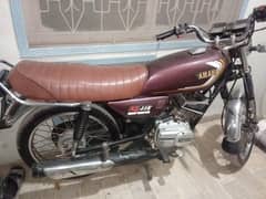 Yamaha
