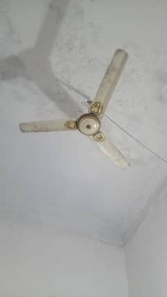 3 fans for sale