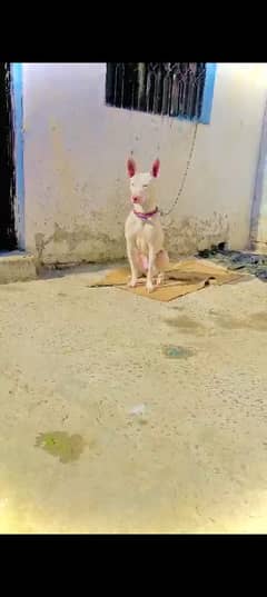 Khoati
