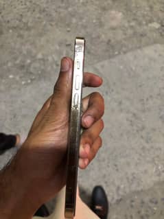 12 pro