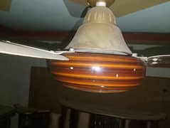 Fan for sale