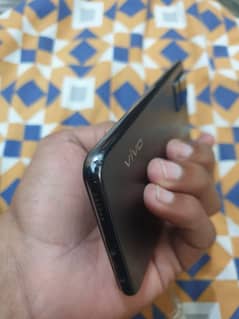 vivo
