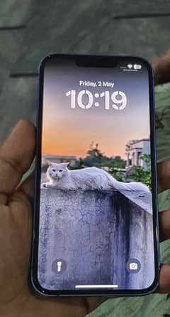 IPHONE 13 128gb factory unlock 10 by 10