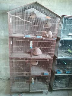 parrot or pigeon cage