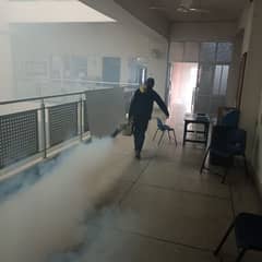 Victoria Pest Solution, Fumigation, Termite, Rodent, Dengue Control