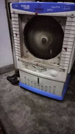 sonex