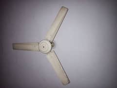 ceiling fan
