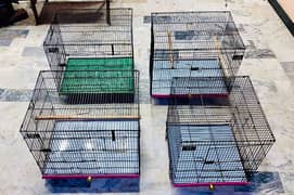 Birds Folding Cages For Sale