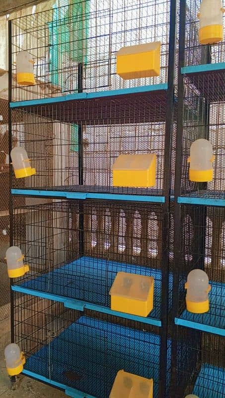 pigeons cages 8