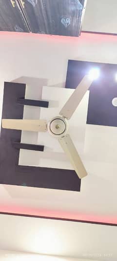 Roof fan