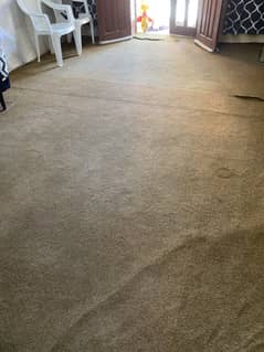carpet