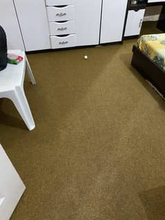 Carpet color in brown no defect or damage 17 by 12 size