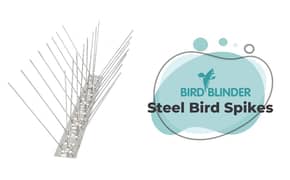 "Bird Spikes 10-Pack – 1ft Stainless Steel Anti-Pigeon Deterrent