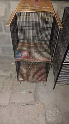 birds cage