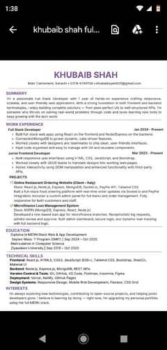 website developer