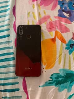 vivo