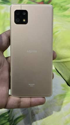 sharp aquos sense 6