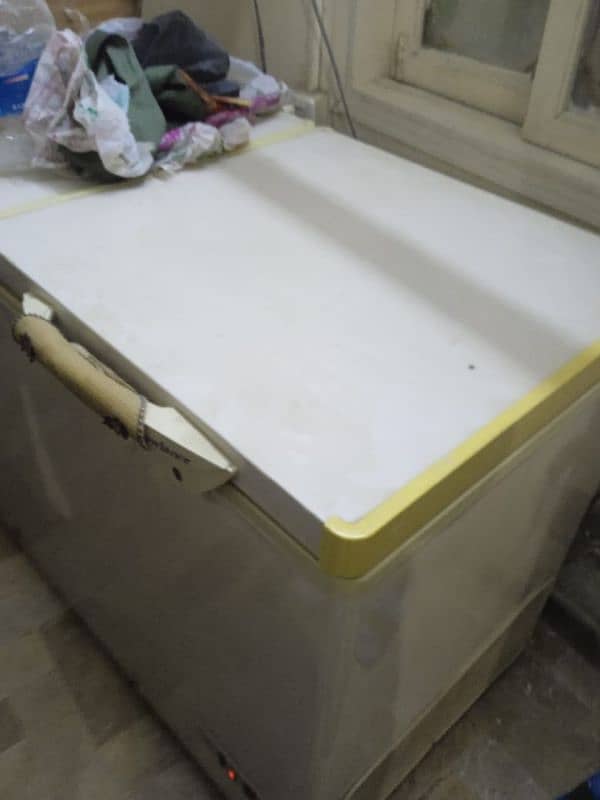 Two Door Deep Freezer. 15