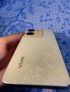 Y36  vivo