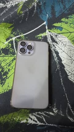 13pro