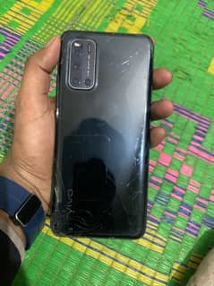 Vivo