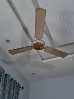 ceiling