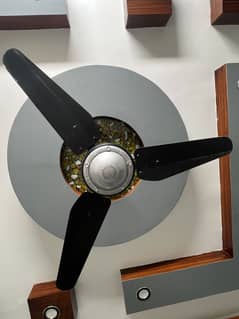 BELVIN FAN FOR SALE