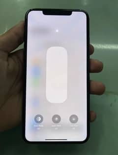 iPhone XS 10/10 246 GB