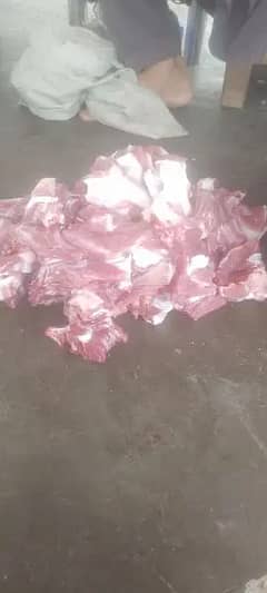 Qurbani k bakry chatry zibah krwany k liye rabta kren booking jari ha