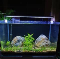 Aquarium