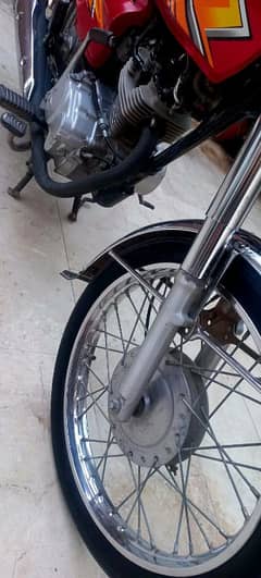 all panjab registration red patta hai