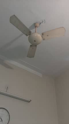 ceiling fans