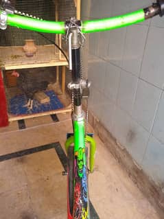 phonix cycle