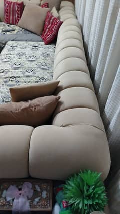 Solid and Customize Sofa
