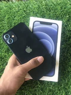 iPhone 12 With Box