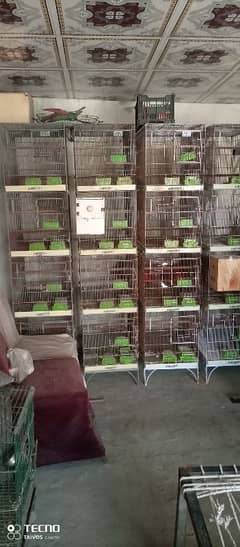 birds Cage / Birds cage/Hens Cage/Pinjra /Iron Cage