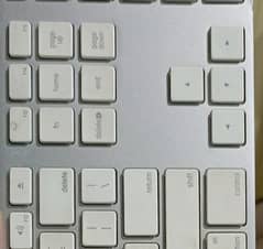 apple keyboard