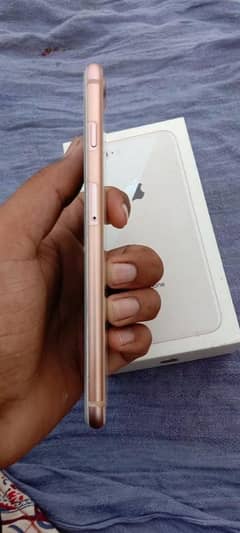 iPhone 8 plus