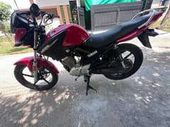 ybr