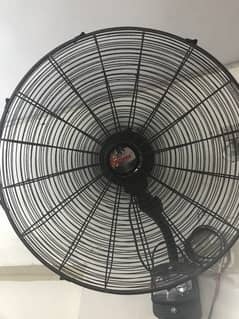 Fan