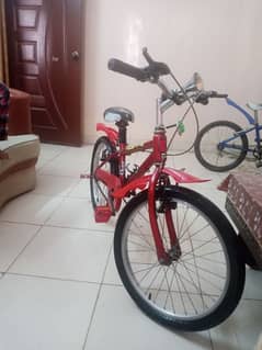 red in colour branded