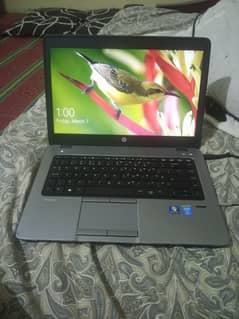 HP