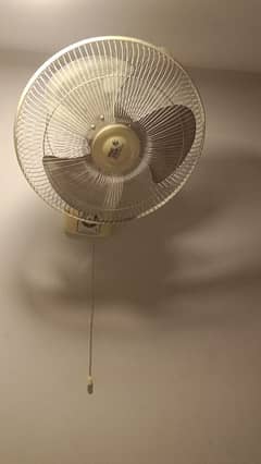 Celling fan beast condition