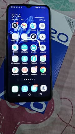 Vivo